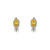 Halo Earrings