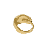 Tone Ring