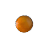 Terra Ring